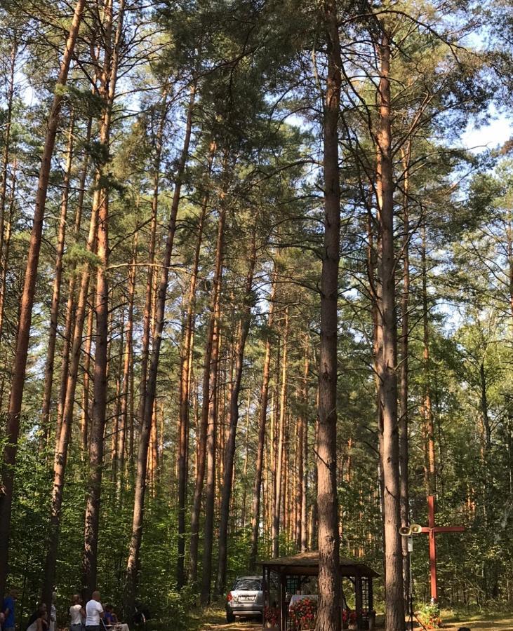 Domek FraniaНесулице Экстерьер фото